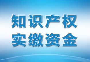 專利融資方式，專利融資方式包括